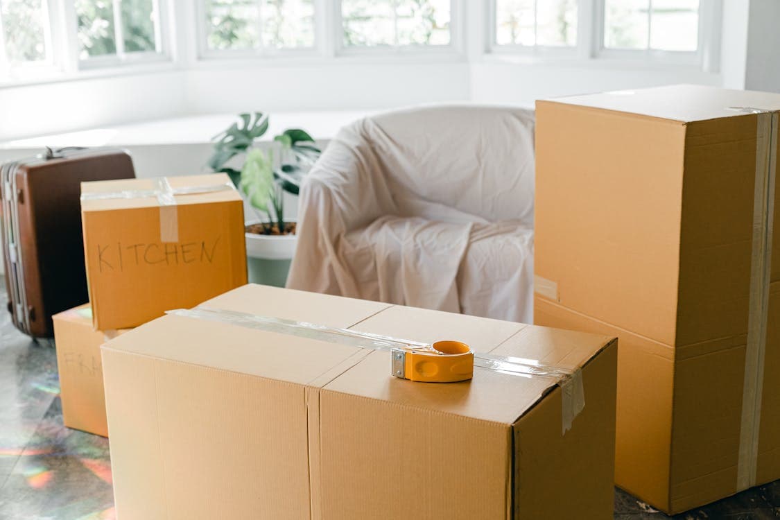 Professional movers carrying boxes into a new home
